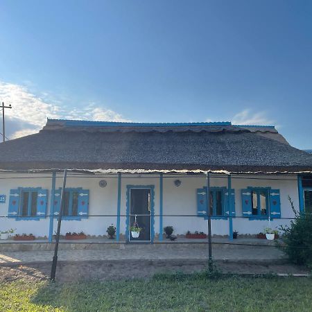 Casa Cu Stuf Murighiol Esterno foto